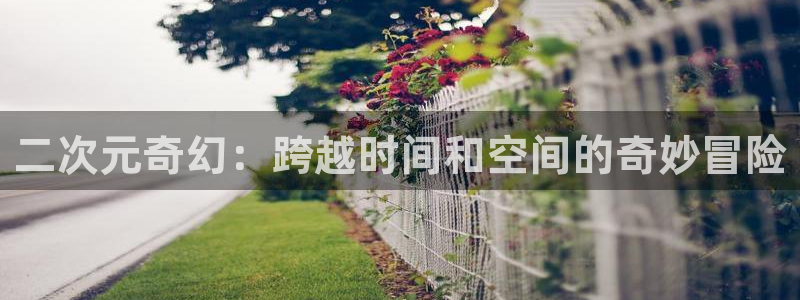 二次元奇幻：跨越时间和空间的奇妙冒险