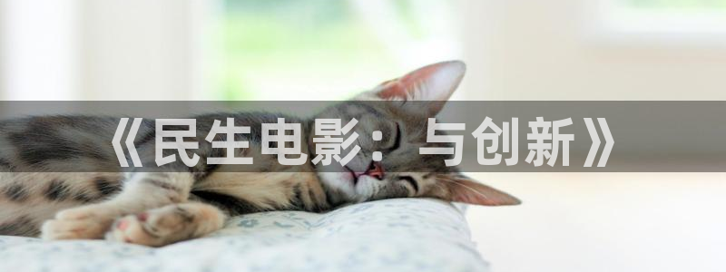 《民生电影：与创新》
