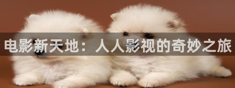 电影新天地：人人影视的奇妙之旅