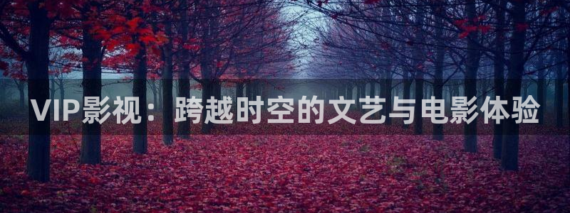 VIP影视：跨越时空的文艺与电影体验