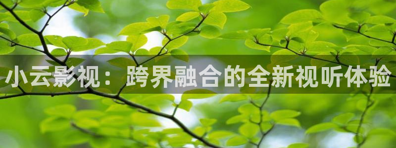 小云影视：跨界融合的全新视听体验