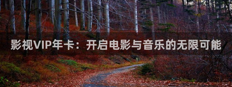 影视VIP年卡：开启电影与音乐的无限可能