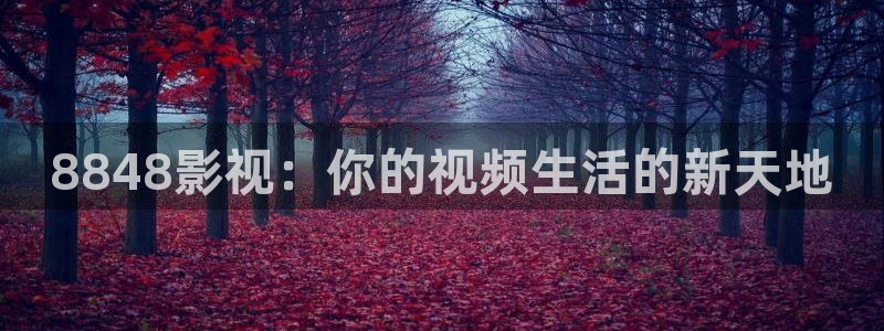 8848影视：你的视频生活的新天地