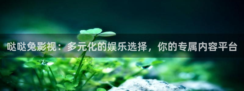哒哒兔影视：多元化的娱乐选择，你的专属内容平台