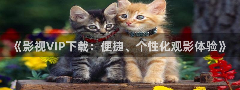《影视VIP下载：便捷、个性化观影体验》