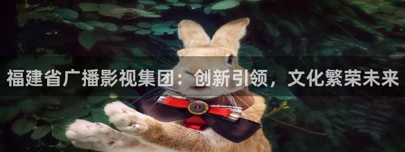 福建省广播影视集团：创新引领，文化繁荣未来